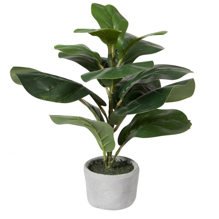 AllModern 17'' Faux Fiddle Leaf Fig Plant in Pot Wayfair